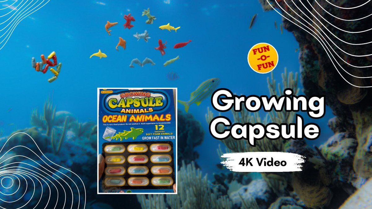 💥😄Unveiling the Mysteries of Growing Ocean Animal Capsules in 4K 😍🥳 : From Tiny to Magnificent

Video Link: youtu.be/sUZVuTegFTU

#viralvideo #viralvideos #GrowingAnimalCapsules #OceanicWonders #Nature'sTransformations #MysteriesUnveiled #IncredibleGrowth #MarineMarvels