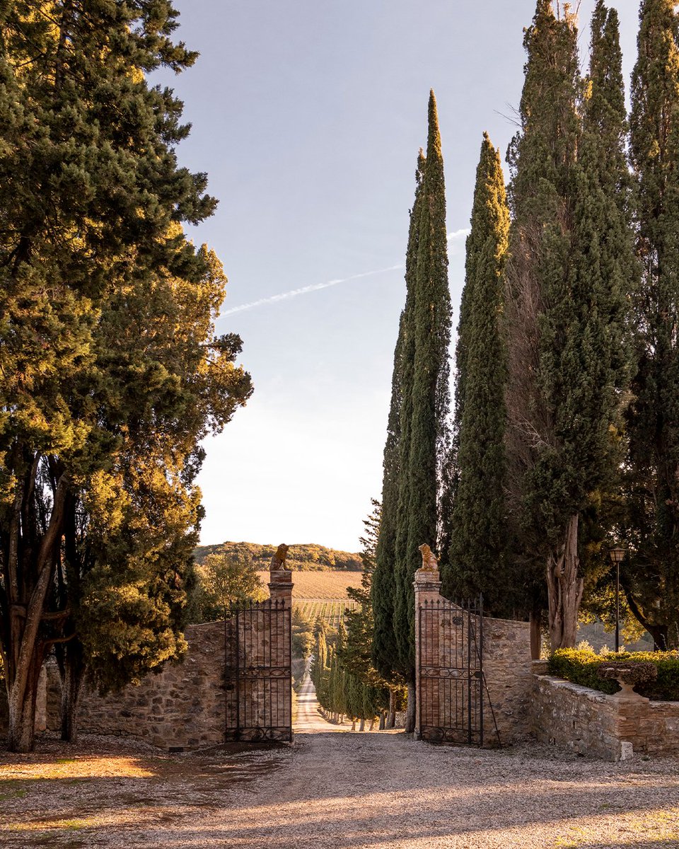 Tenuta CastelGiocondo's gates are open in Montalcino. This Summer, take advantage of the unforgettable chance to visit it: bit.ly/VisitCastelGio…

#Frescobaldi #MarchesiFrescobaldi #FrescobaldiVini #ToscanaDiversity