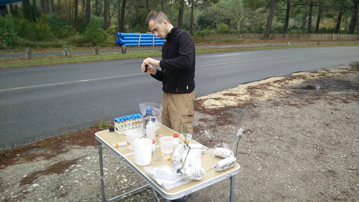 Sometimes we create <a href="/PhytoPlastic/">PhytoPlastic</a> new workplace ourselves 🧑‍🔬😀 Even in the field! 😉 It looks professional, doesn't it? 👌👌👌 What does your workplace look like?
🔎 phytoplastic.wixsite.com/my-site

 #Environment #scientist #biology #microplastic #biodiversity