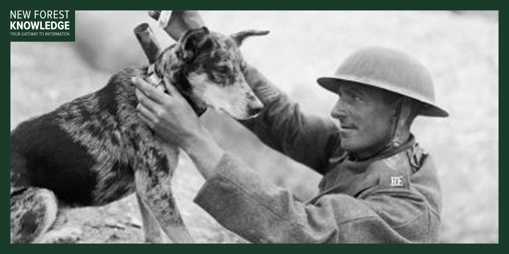 NFKnowledge's tweet photo. In 1918 the War Dog Training School at Shoeburyness was moved to Matley Ridge, Lyndhurst in the New Forest, taking over the site of the Trench Mortar School that had recently closed 🦮

🔎 Discover more at: https://t.co/uLJQIHF5fi

#History #NewForest #WarDogTraining #1918 #Dog https://t.co/GiASG1D1Uo