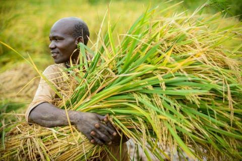 AfricanGrowers's tweet photo. If farmers have helped you in your life, write farm works.
Tag a friend. #farmworks #farmers #africanfarmers #foodies #africandescent #africanfoodies #TAGsFarm https://t.co/0ja8I6DAdB