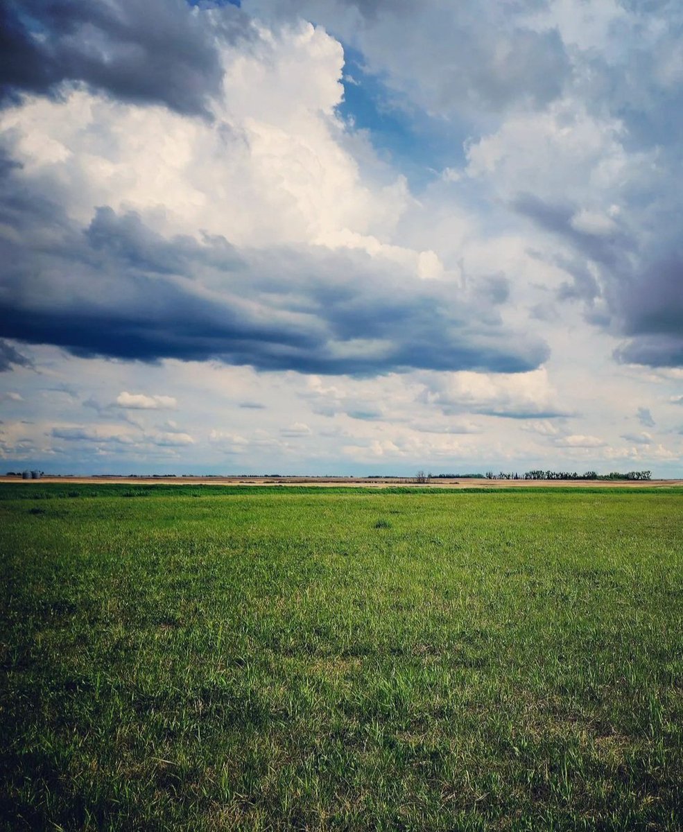 With the July like Temperatures  we are getting treated to Summer storms a bit earlier this spring. The skies are Inspiring.
#spring2023 #inspirtational #spirit #inhalespirit  #invitingspaces #myprairieplace #myprairezen #mysask #prairieliving #prairielizard #countryliving