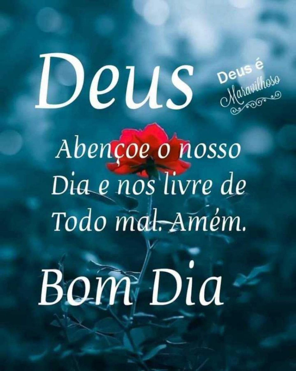 ÓTIMO DIA ❤️❤️ AMÉM 🙏🙏🙏