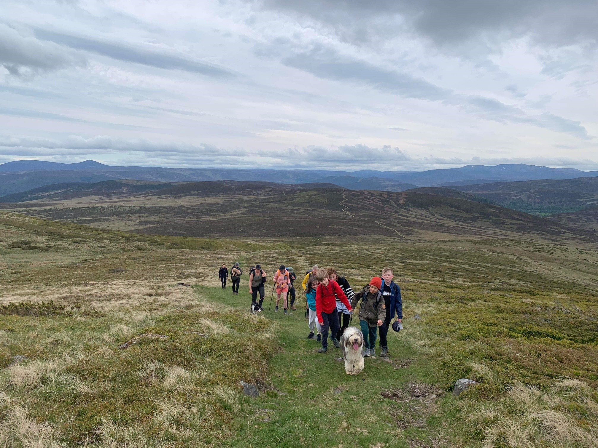 Logie Coldstone PS on Twitter "Logie Coldstone School was well