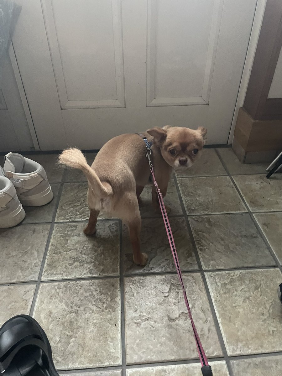 んぽ川 https://t.co/iFMHvMdYdw