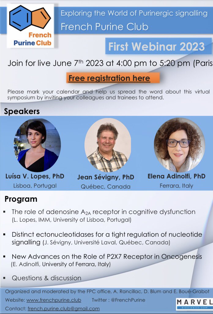 Our #PRESTO #Actionchair Professor Elena Adinolfi, will be giving a webinar for the French #purineclub along side two further speakers on Wednesday June 7th, register at: webinarfpc.sciencesconf.org #PRESTO #prestocost2023  #p2xreceptors #therapeutictargets #eucostfunding