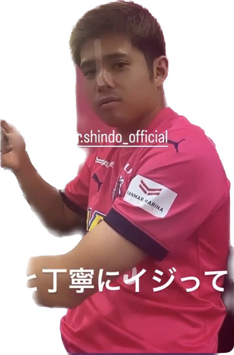 鹿島 アントラーズ 練習 試合 ユニフォーム