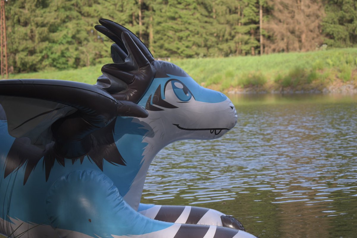 Such a beautiful dragon :3

#inflatable #squeaky #lake