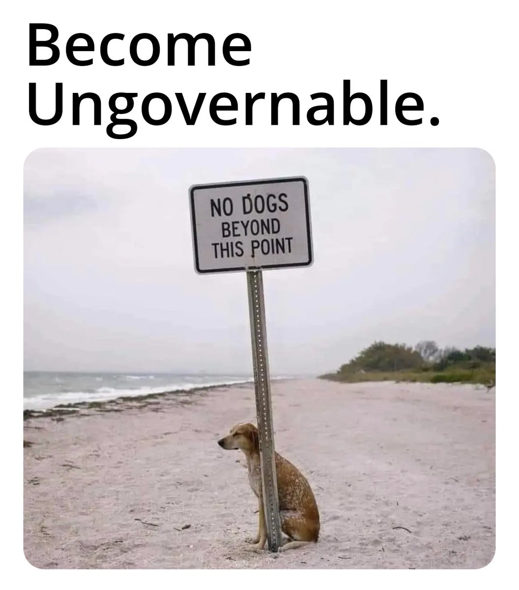 Become Ungovernable #WriteWeed #TWITTERMEMES #dankmemes #Memes