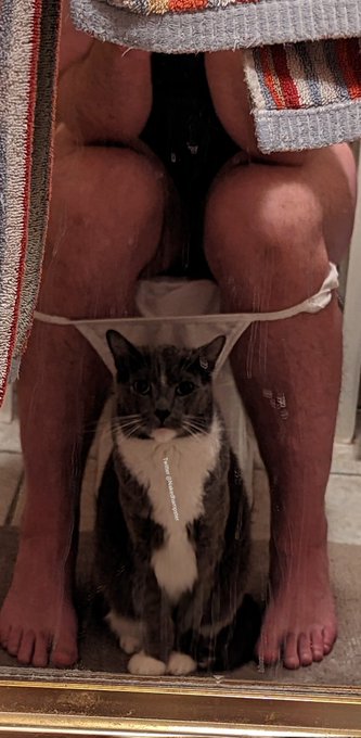 My Toby, staring at me through the mirror, like the little weirdo he is lol https://t.co/VjFmwXMDiz<a href="/tag/panties"class="tags"><span>#panties</span></a><a href="/tag/bubblebuttbottom"class="tags"><span>#bubblebuttbottom</span></a>