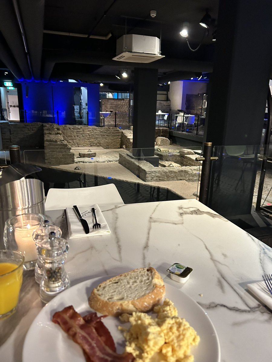 My hotel in Maastricht was going to build a pool in its basement but discovered ruins of a Roman villa when it dug down.  Now it’s an archeological site where they serve breakfast. 🫤