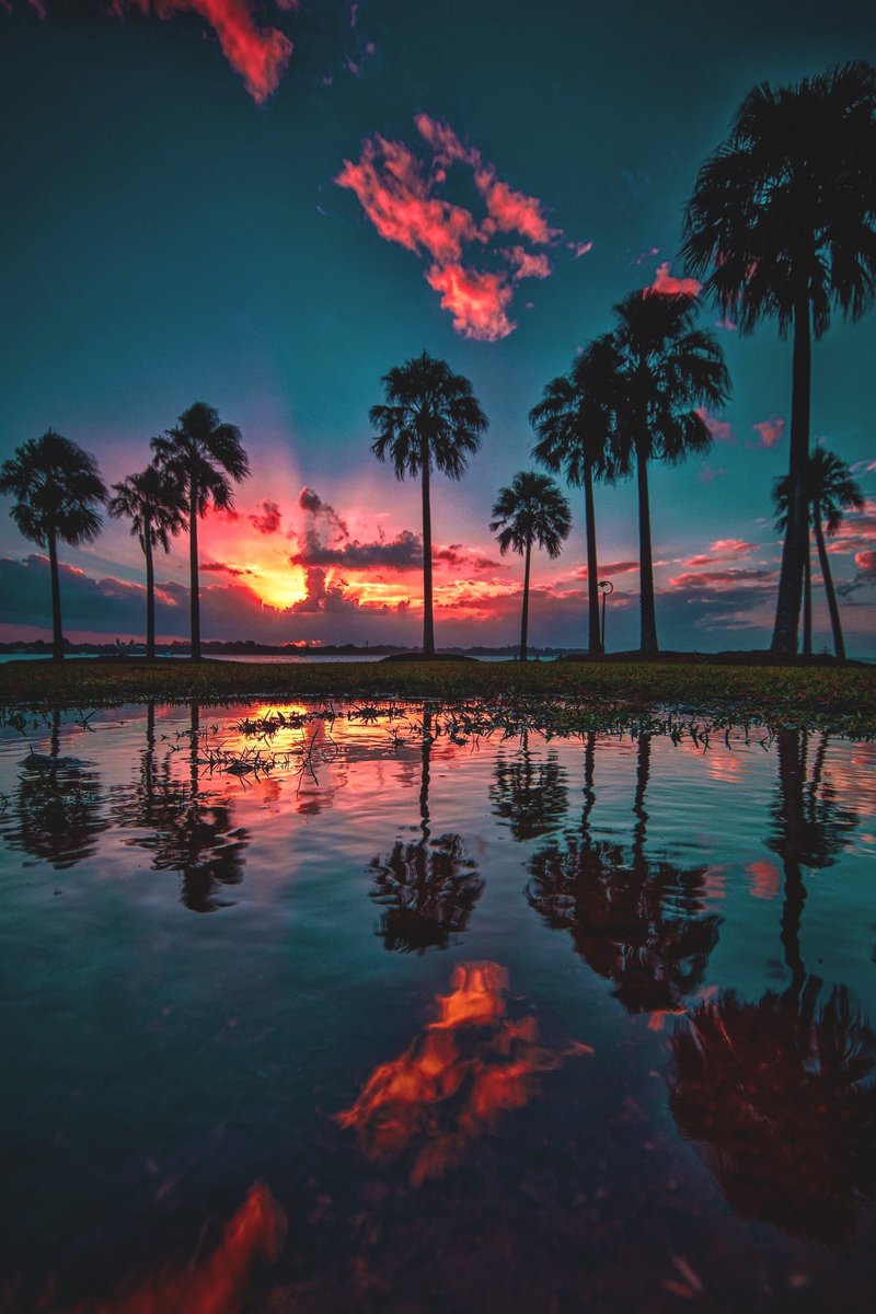 NomadicVisits's tweet photo. Sunset Serenade

Nature's artwork: palm tree shadows dancing upon the water, creating a mesmerizing symphony of light and tranquility. 🌅 https://t.co/NKZsr150Vw