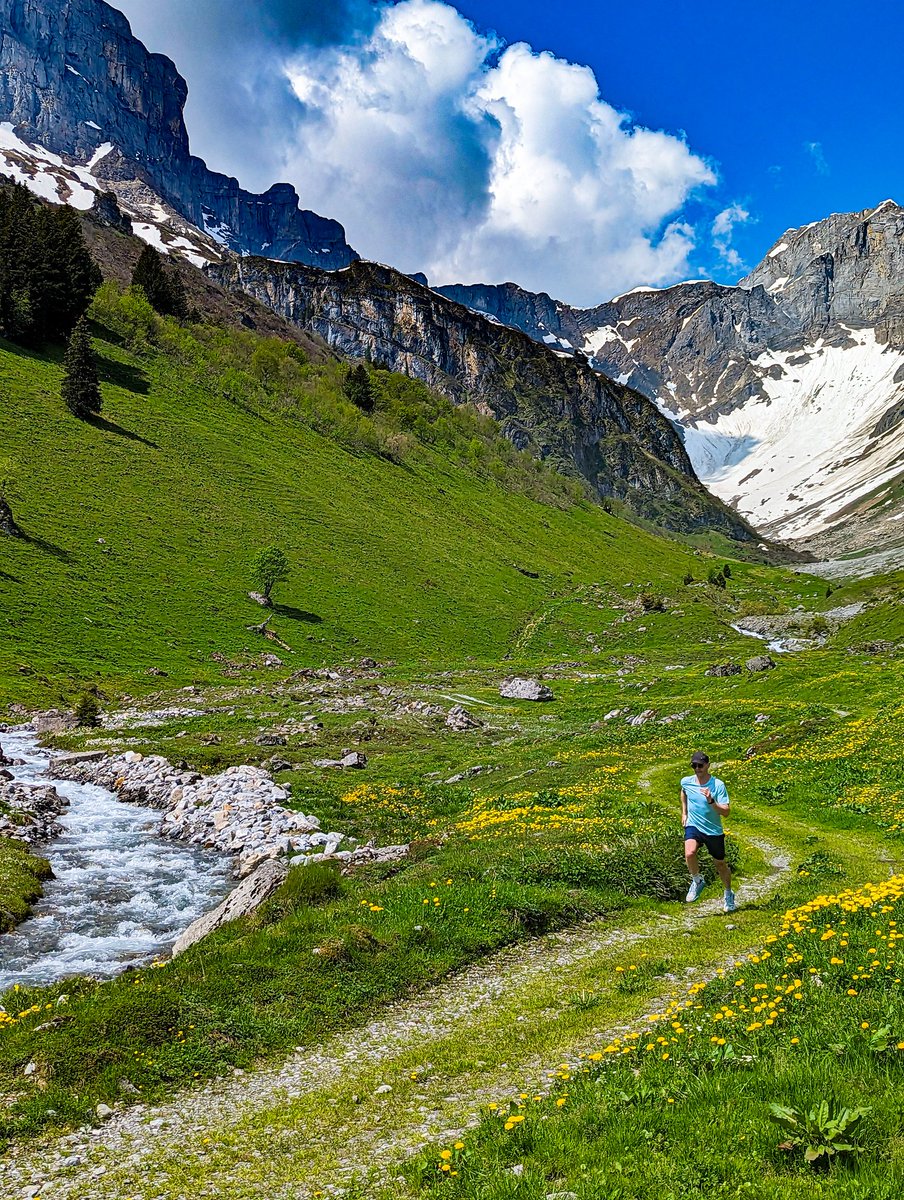Running with the Flow. 
Or are you more the hiker?
#runner #Switzerland #trailrun