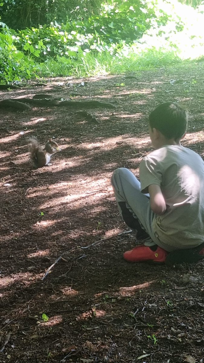 @Kay_D_1501 My amazing son is like an animal whisperer, his heart is so pure and he just loves interacting with any animal #autism #developmentaldelay 
My heart bursts with this beautiful boy 🤗🥰💙💙💙