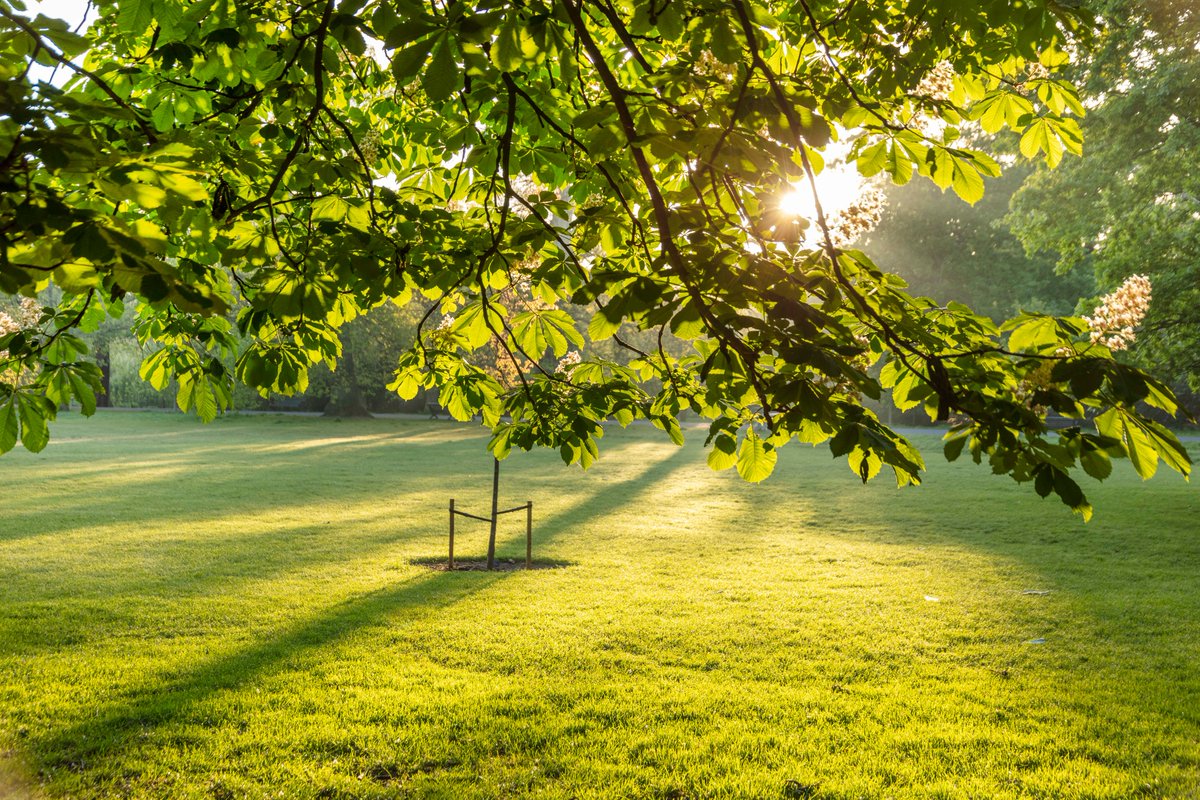 🙌  Joyous June

☀️ Summer time 

📍 Greenwich Park