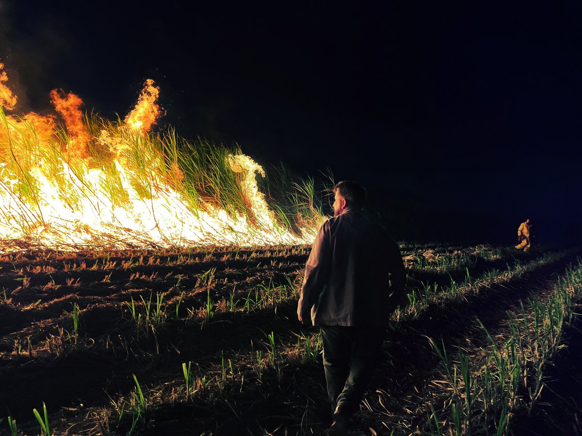 WildThringMedia's tweet photo. So great to work with @wildbeartv on this eye-opening docu series led by Anthony LaPaglia, who delves into the story of Italian criminal organisation The Black Hand and how it targeted their migrant countrymen in Australia. @entonegroup (eOne) will handle international sales. https://t.co/lne6vYGhsn