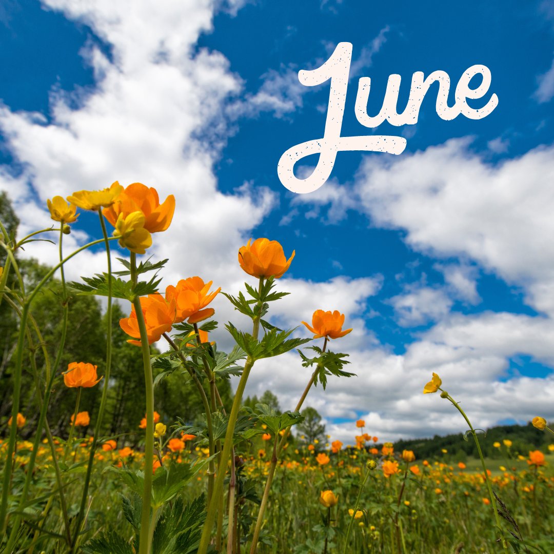 broadwaypublish's tweet image. Well hello, June! ❤️

We are entering the sixth month of 2023 already!
How&apos;s business going for you this year so far?
Are you pleased with your marketing progress, or could you be doing better?

#estateagents #marketing #contentfor #june #halfway