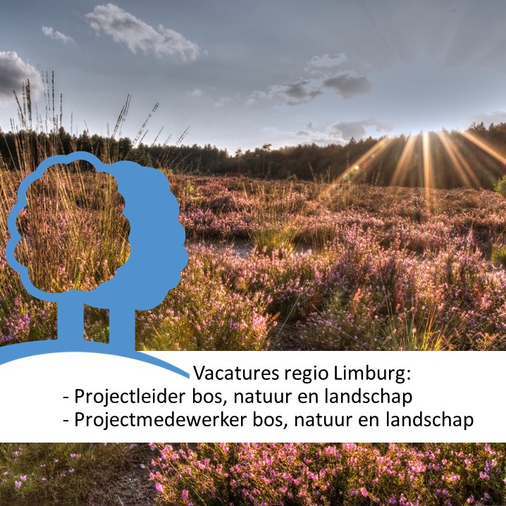 #Vacatures: Je kunt nog reageren op de twee functies in de regio Limburg (Bosgroep Zuid Nederland). Wil je bijdragen aan een mooie leefomgeving in Limburg? En werk je graag aan projecten in een non-profit werkomgeving?  Check dan onze website👉 bosgroepen.nl/vacatures