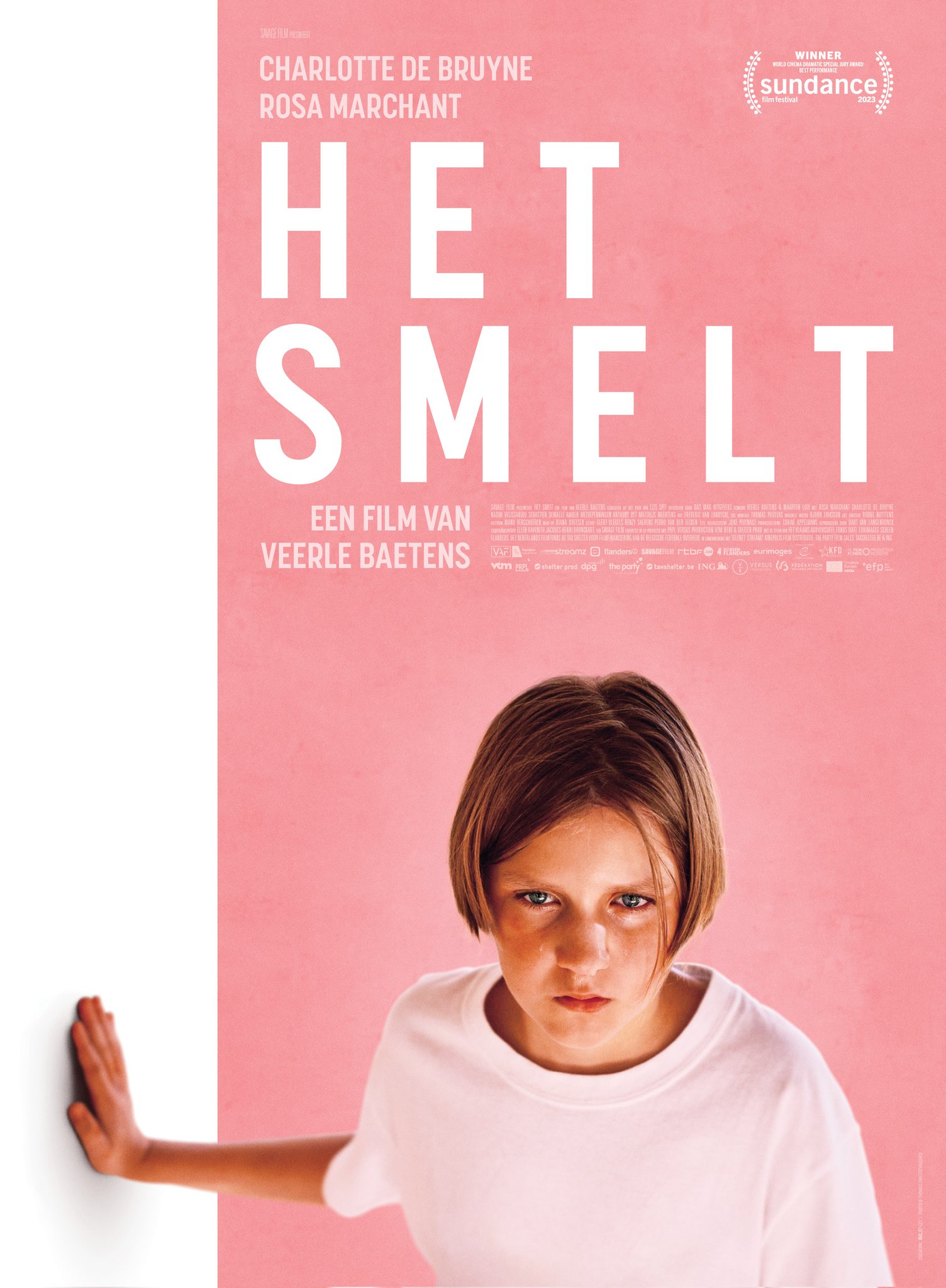 Vlaamse Het Smelt poster
