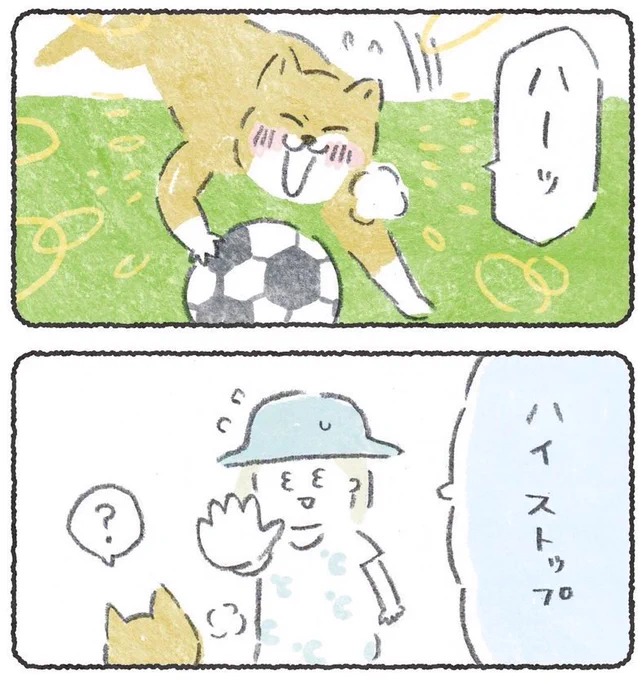 心配性飼い主にとって夏のドッグランはハラハラするん・・  て話→