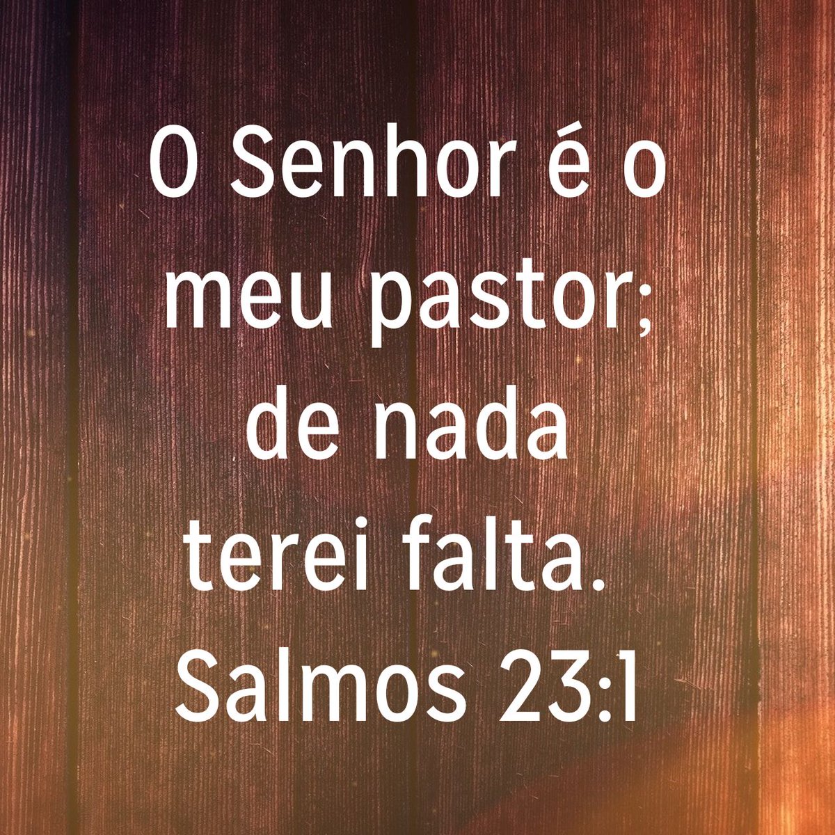 O Senhor é o meu pastor; de nada terei falta.
Salmos 23:1