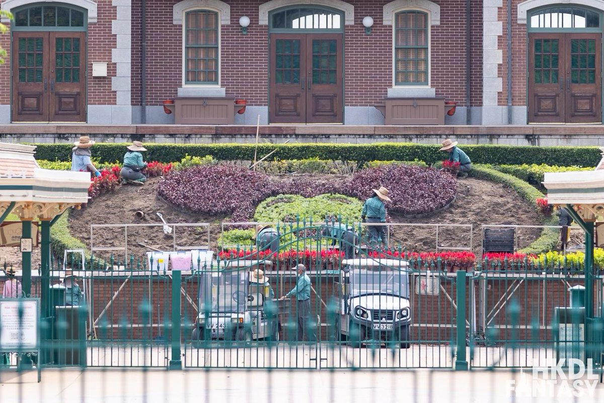 Floral Mickey is returning! #HKDL is currently reverting the entrance planter from the seasonal Floral Duffy to the original Floral Mickey.

#HongKongDisneyland #hkdisneyland #HKDL #disneyparks #disney #香港ディズニーランド #ディズニー #MickeyMouse