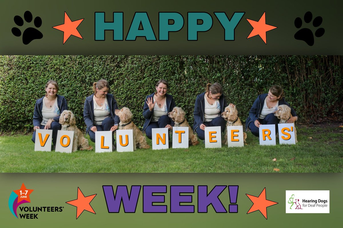 SaZwithhersuperstarHD🐾 tweet media