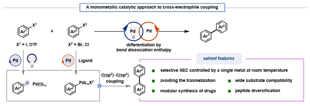 Differentiating the reactivity of aryl (pseudo)halides based on the bond dissociation enthalpy (BDE).