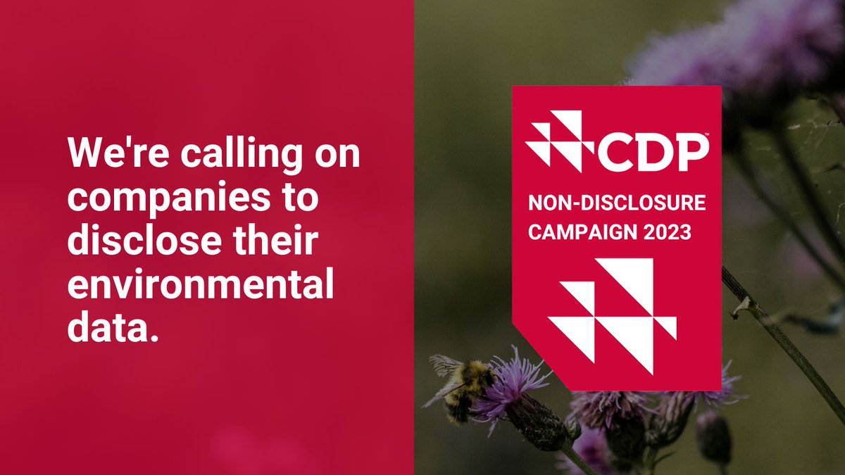Yritysten täytyy olla läpinäkyviä ympäristövaikutuksistaan menestyäkseen. 

Kutsumme muutkin yritykset mukaan <a href="/CDP/">CDP</a>:n Non Disclosure kampanjaan raportoimaan ilmastonmuutoksesta, metsistä ja vesiturvallisuudesta.

#CDPNonDisclosure #ESG #kestäväkehitys