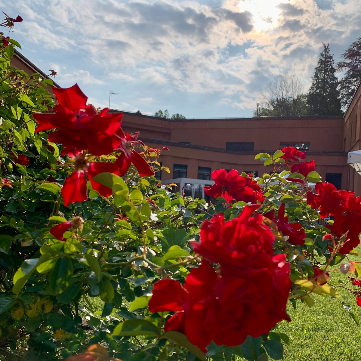 Good morning from #Torino! A great day for #skills development as we welcome Commissioner
<a href="/NicolasSchmitEU/">Nicolas SCHMIT</a> to <a href="/etfeuropa/">European Training Foundation 🇪🇺</a>

Fruitful discussions ahead on enhancing learning, qualifications recognition &amp; the green-digital transition

🔗europa.eu/!vDdfkx

#EuropeanYearOfSkills