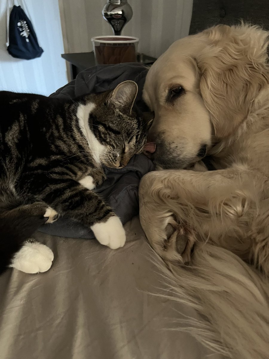 ylvawi's tweet photo. @annanmaja Klara och Ellie bästa vänner ❤️ https://t.co/4M5MwUkE7t