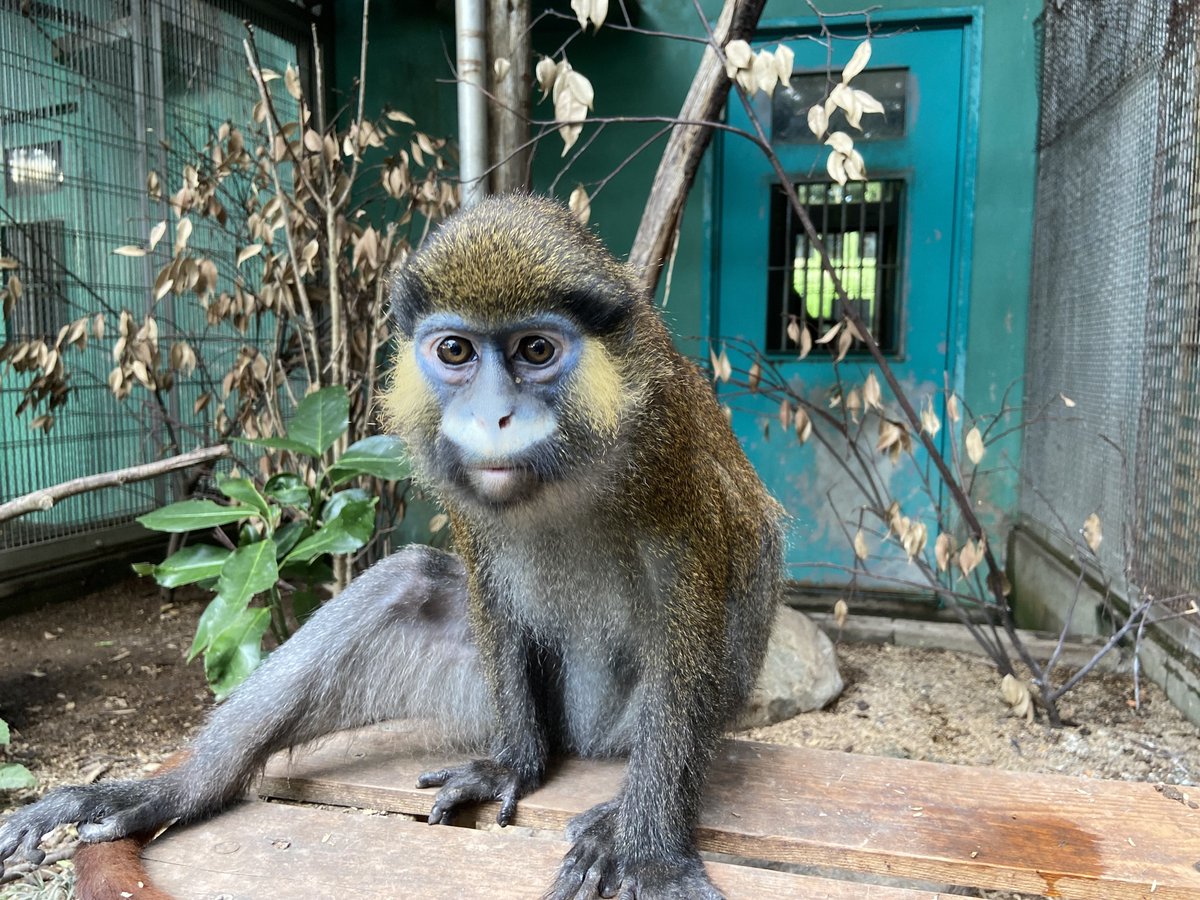 急激に暑くなってきて調子が悪くなり、先週頭から入院しておりました