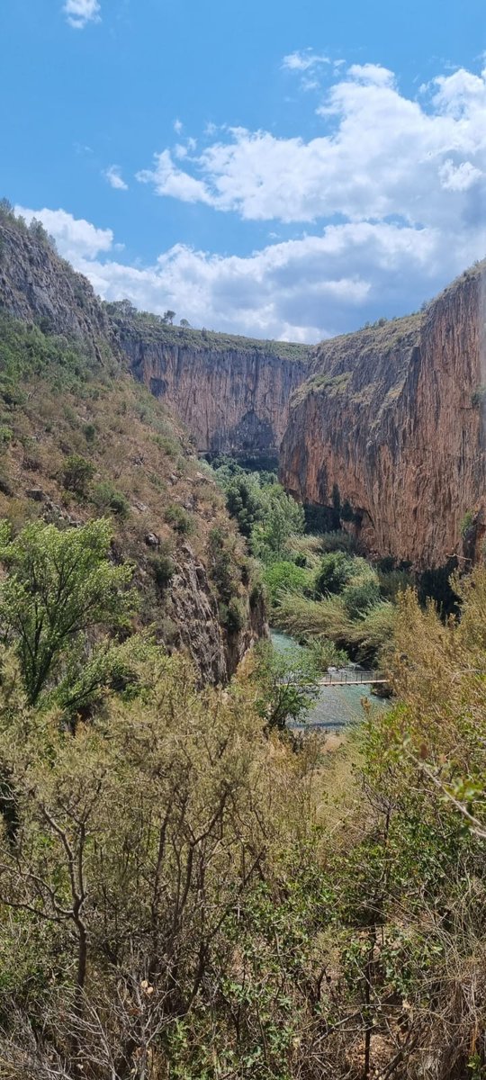 elfuru18's tweet image. #1Juni2023 empezamos Junio 💪💪💪