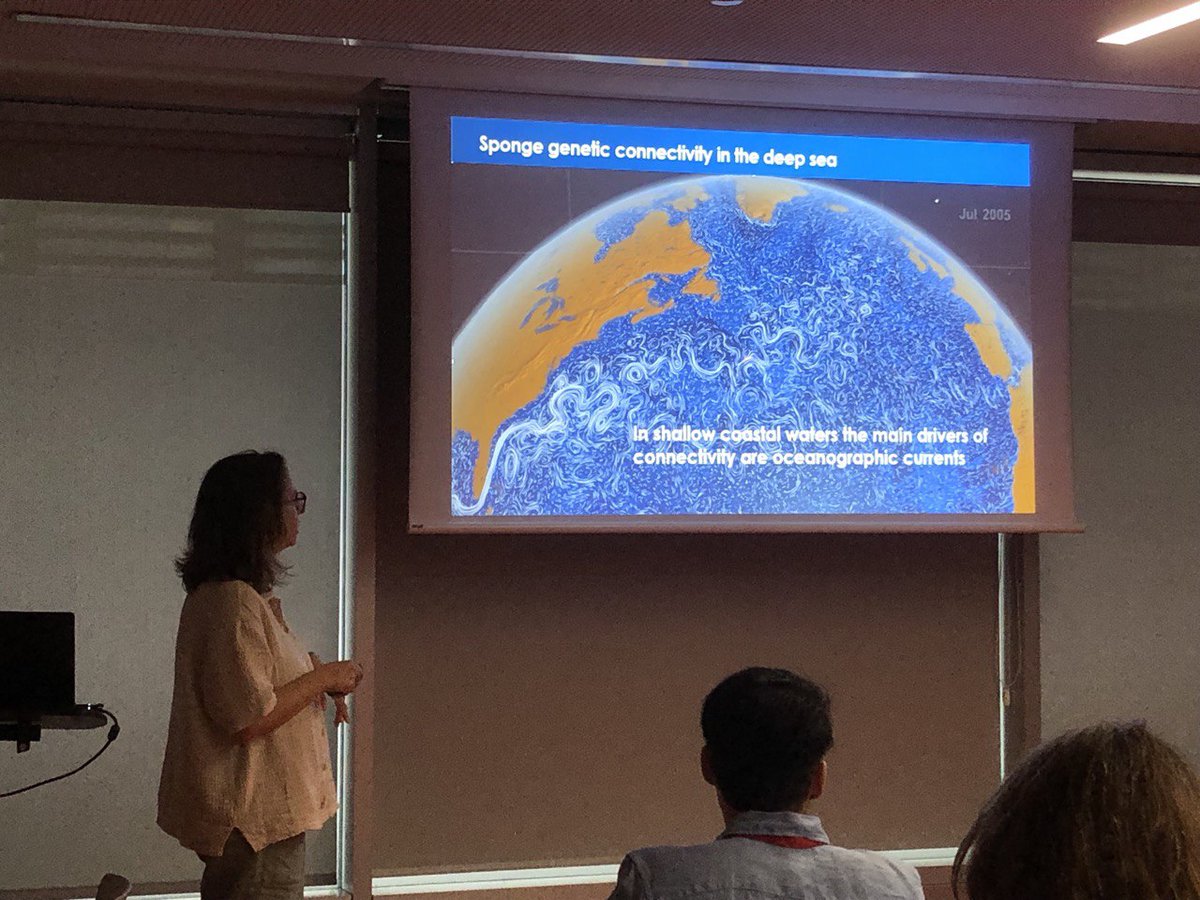 Simón Perera ☮️ 🏳️🌈🏳️⚧️ (@simonperera) on Twitter photo Comienza <a href="/anariesgogil/">Ana Riesgo 👩🏽🔬🧬🔬</a>, que estudia la conectividad genética de las esponjas marinas del océano profundo.
No solo es importante por la biodiversidad, sino por posibles usos interesantes como fuente de quimioterapia y otros fármacos... Comienza <a href="/anariesgogil/">Ana Riesgo 👩🏽🔬🧬🔬</a>, que estudia la conectividad genética de las esponjas marinas del océano profundo.
No solo es importante por la biodiversidad, sino por posibles usos interesantes como fuente de quimioterapia y otros fármacos...