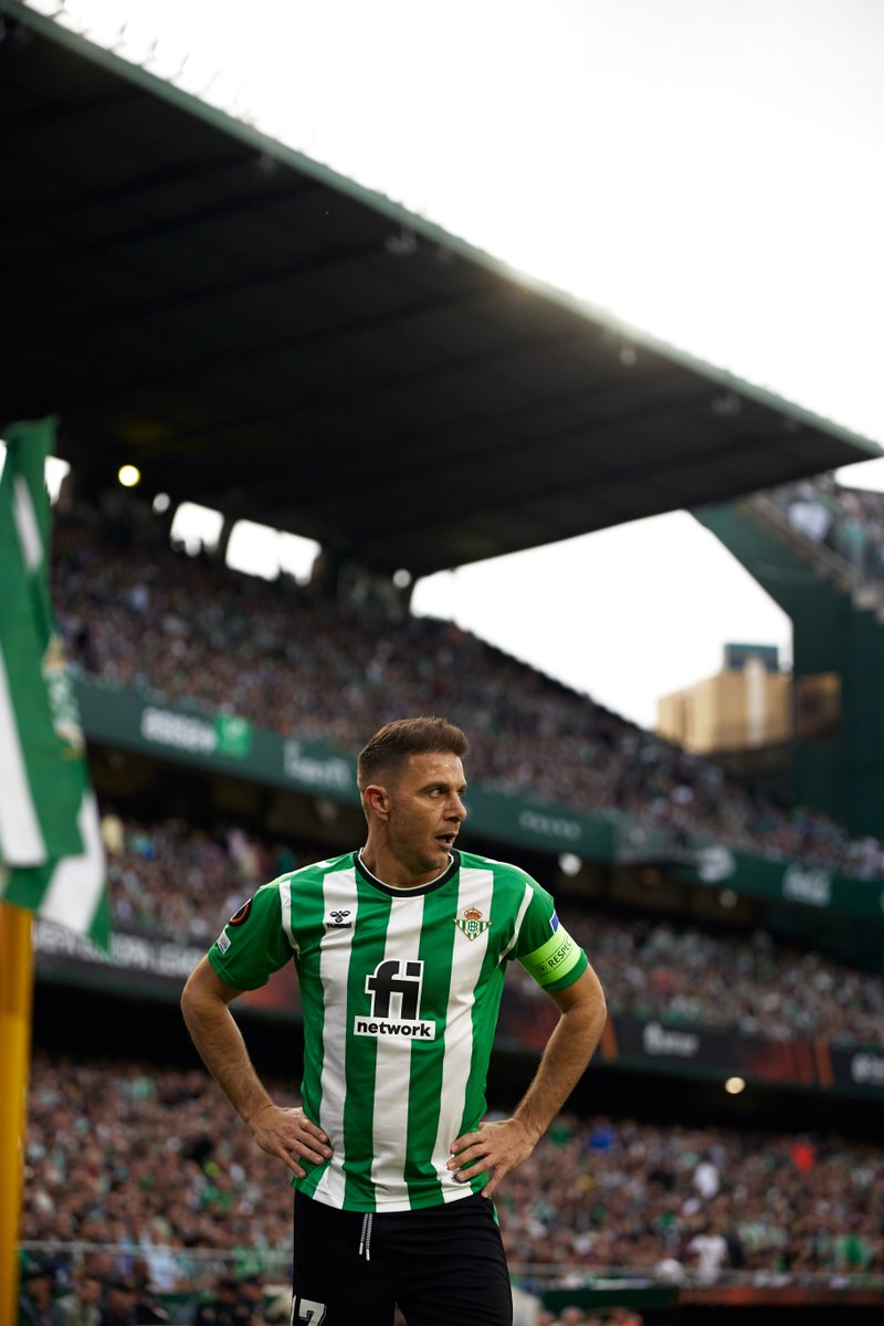 Real Betis Balompié 🌴💚 tweet media