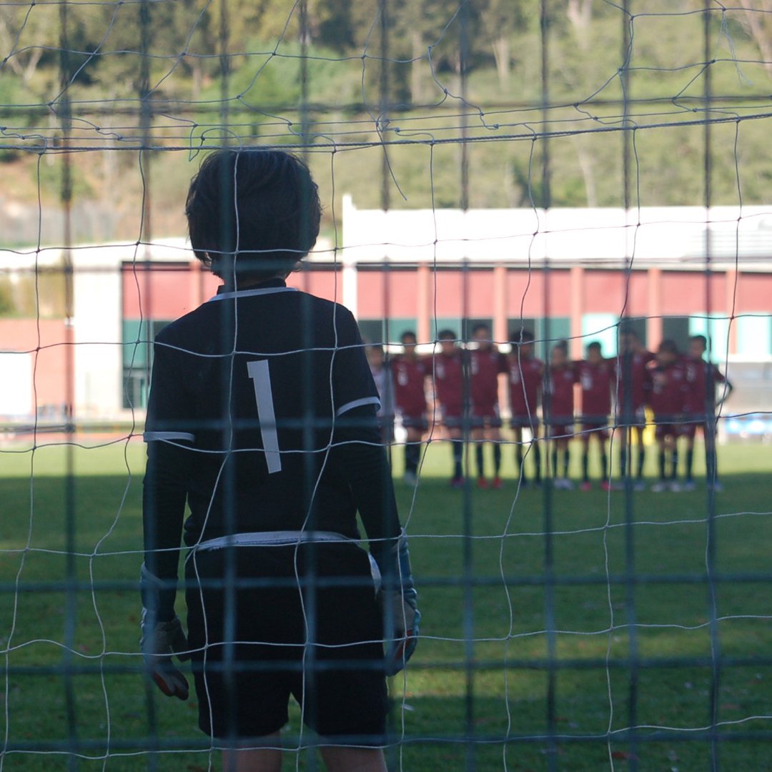 cdcp_oficial's tweet photo. Os melhores do π ? As crianΓ§as e o
Clube Desportivo da Cova da Piedade!
Feliz Dia Mundial da CrianΓ§a a todos os que vestem
#ascoresdatuaterra
#CDCP
#CDCOVADAPIEDADE
#ascoresdatuaterra https://t.co/EeFgm5X3NU