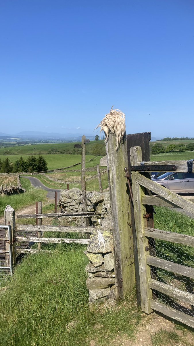 CharlesBewley2's tweet photo. @LakesStiles @LordOrk @Soapy_Wit_Tank @tismenic70 @ceadela @LansdellMum @ProjectWHYUK @tutty352 @RuthRendell1 @Yeti98_ @WindowsLake Morning 👋, lovely that Stiles 🤩 Front and back, same gate #ContinuityError https://t.co/j1nrhBEL4L