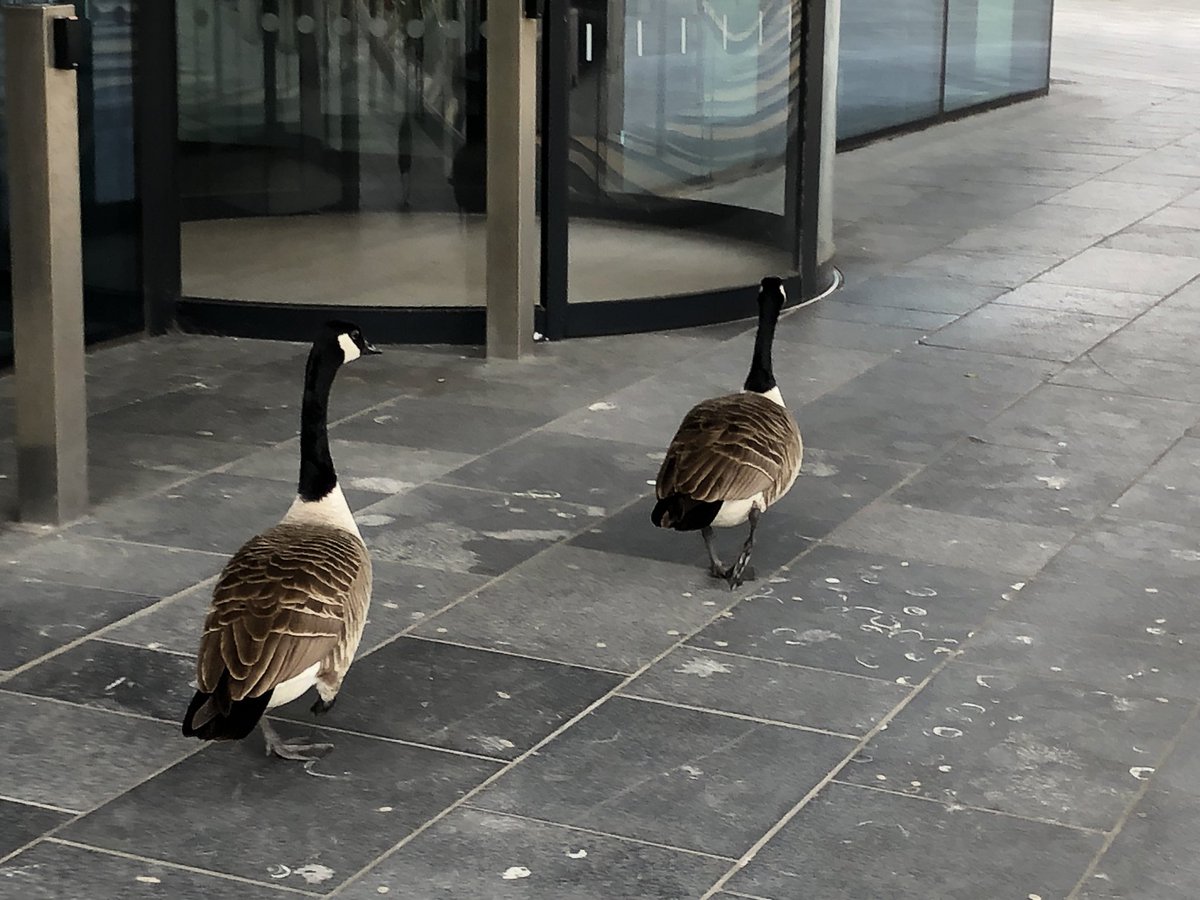 opsologist's tweet image. Visitors to XBlock @UWE_Business this morning.