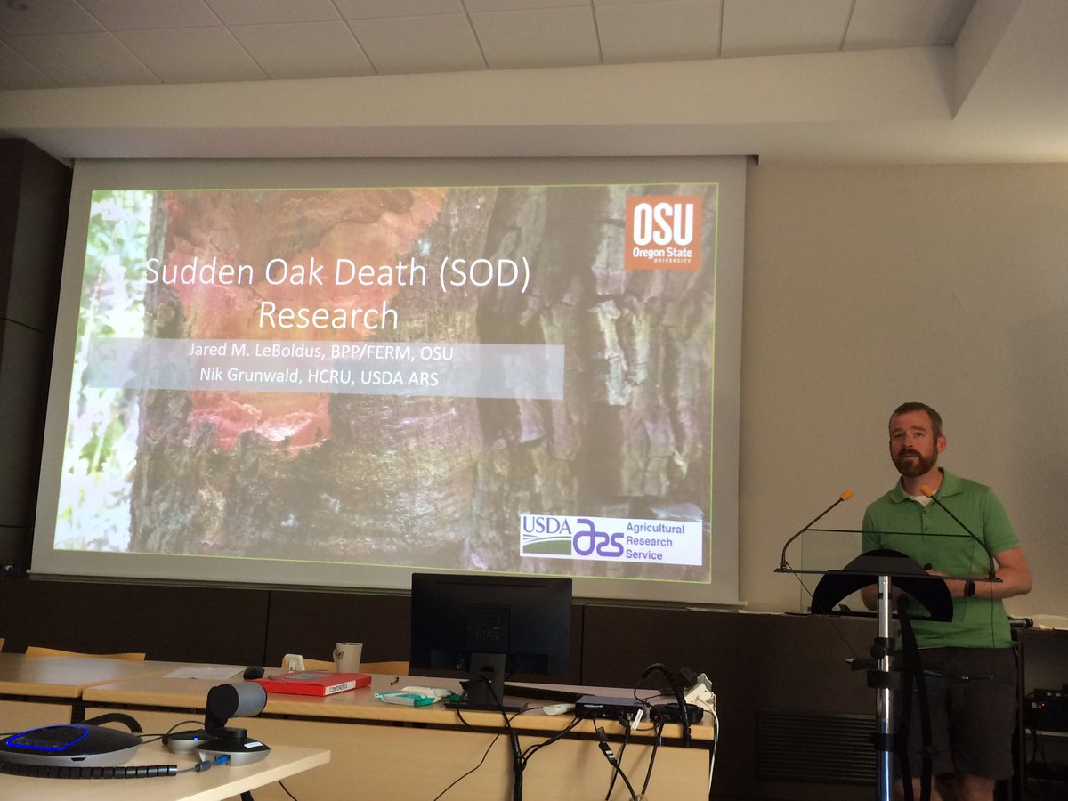 .@labexARBRE seminar: @JLeboldus (@osubpp) on research and management of #SuddenOakDeath (#Phytophthora ramorum) in wildland #forests of the US Pacific Northwest