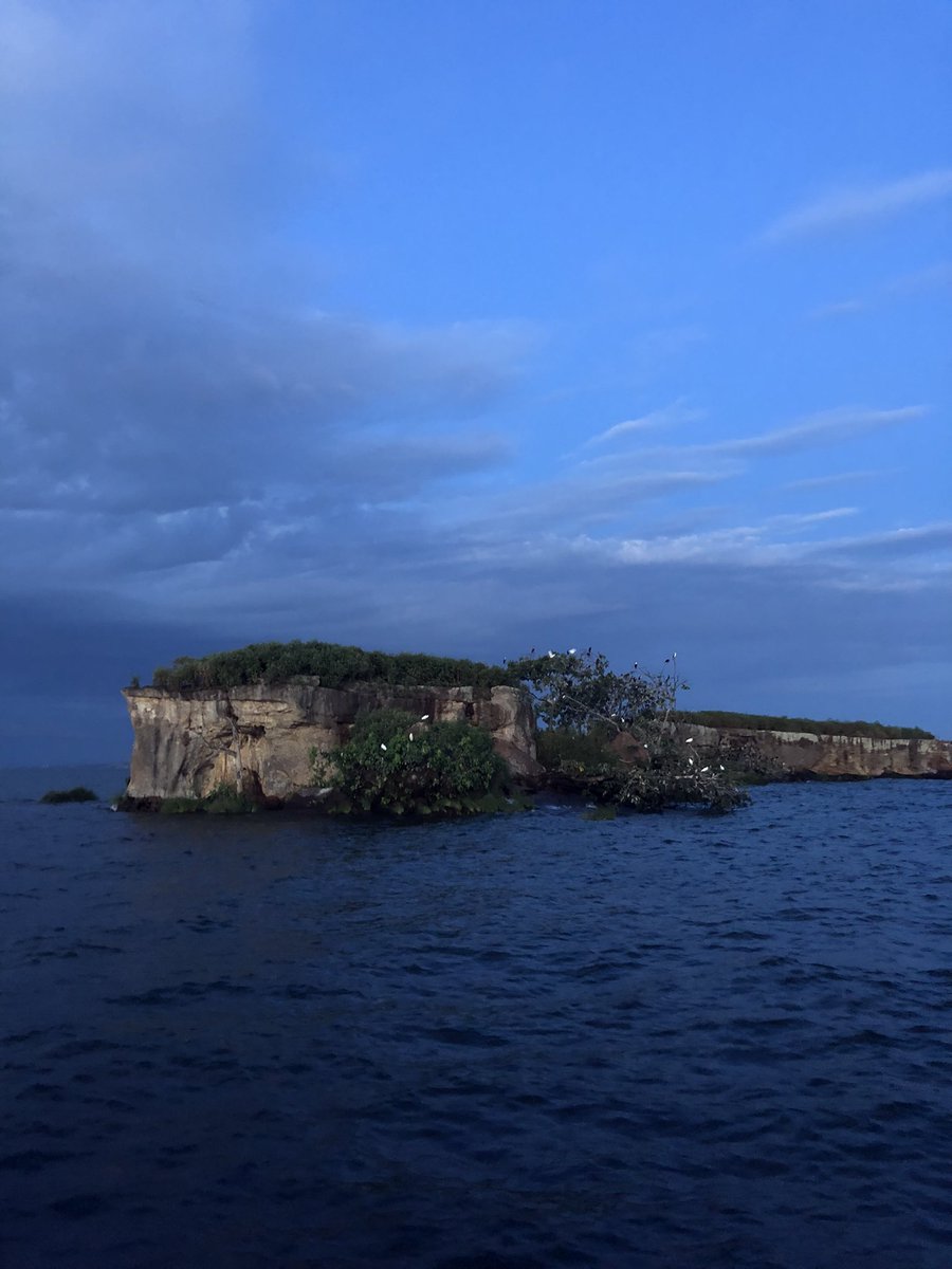 The floating island on Lake Victoria. This island has a rich history and you will come across it while on your sunset cruise on Lake Victoria. 

#travel #travelwednesday #travelphotography #Travel #africatravel #entebbe #entebbetown #lakevictoria