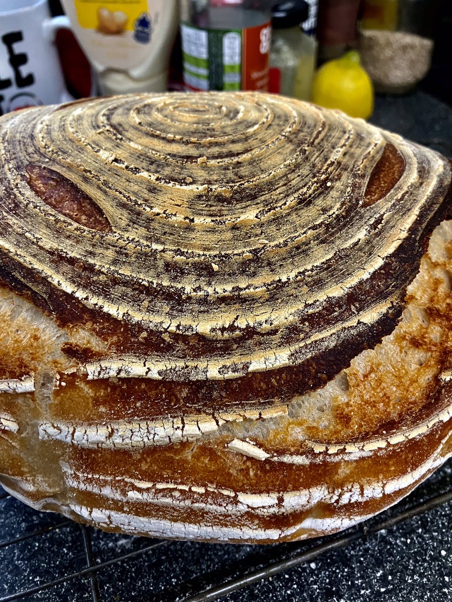 tantrictrevbbq's tweet image. I prepped this sourdough loaf yesterday and cooked early this morning. Getting better. #breadmaker #homebaking #sourdoughbread #sourdough