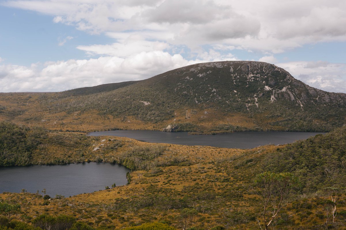 BaileyWilday's tweet photo. Cradle Mountain, Tasmania https://t.co/cb498lcy5D