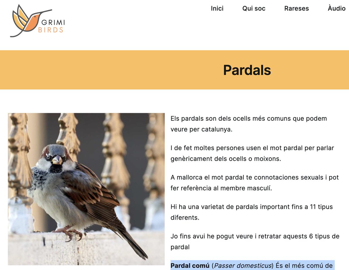 DrRGrimalt's tweet photo. Ja heu vist el monogràfic de #pardals a #BrimiBirds?
De #pardal n'hi ha un munt!
El comú (#Passer #domesticus)
El xarrec (Passer #montanus)
El de passa (Passer #hispaniolensis)
El de bardissa (#Prunella #modularis)
L'alablanc (#Montefringuilla #nivalis)
L'italià (#italiae) https://t.co/ERKhqoOBn0