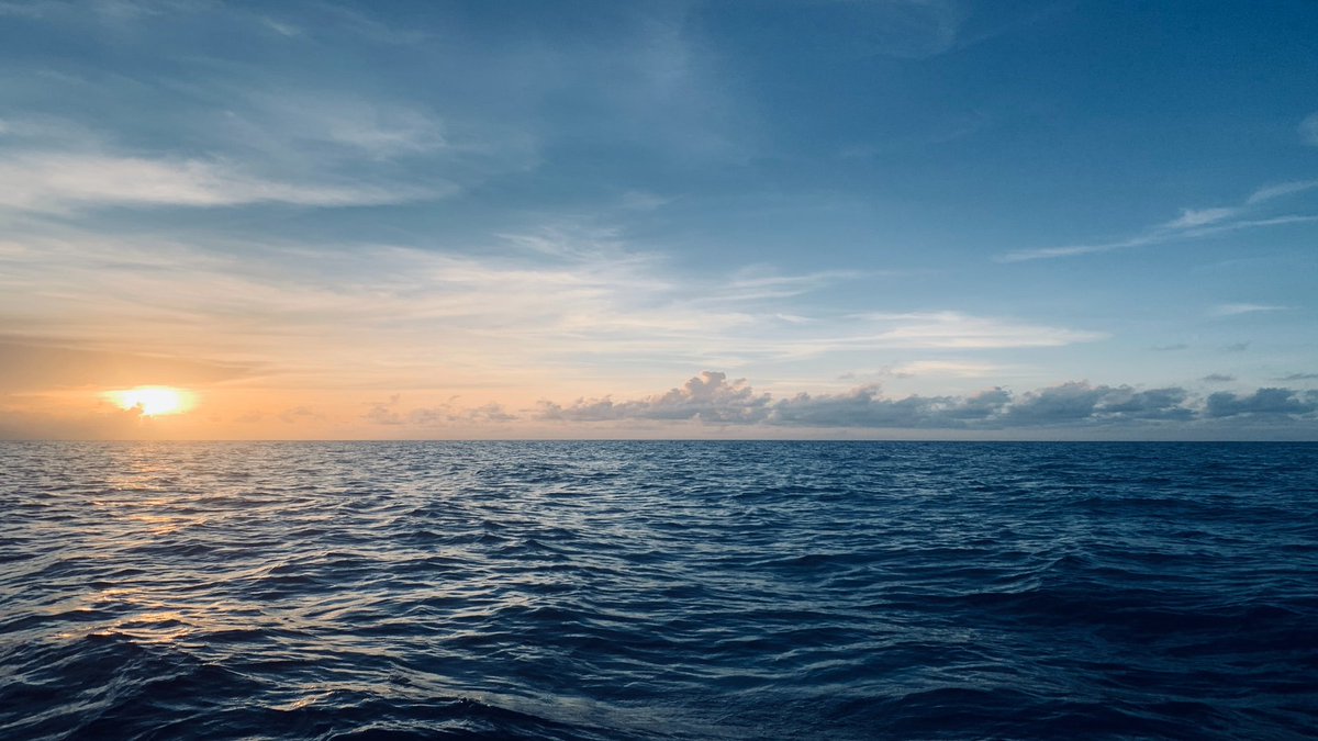 In the latest @AzureForum  #StrategicInsight @mark_mellett  examines the potential role of the High Seas Treaty in protecting oceans beyond national jurisdiction azureforum.org/will-the-high-…