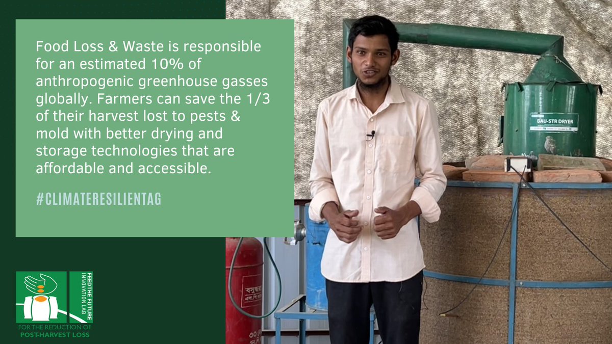 PHL Innovation Lab (@phlinnovlab) on Twitter photo Food Loss & Waste is responsible for an est. 10% of anthropogenic greenhouse gasses globally. <a href="/PHLInnovLab/">PHL Innovation Lab</a> is helping farmers save the 1/3 of their harvest lost to pests & mold, increasing #FoodSecurity & #ClimateResilientAg Food Loss & Waste is responsible for an est. 10% of anthropogenic greenhouse gasses globally. <a href="/PHLInnovLab/">PHL Innovation Lab</a> is helping farmers save the 1/3 of their harvest lost to pests & mold, increasing #FoodSecurity & #ClimateResilientAg