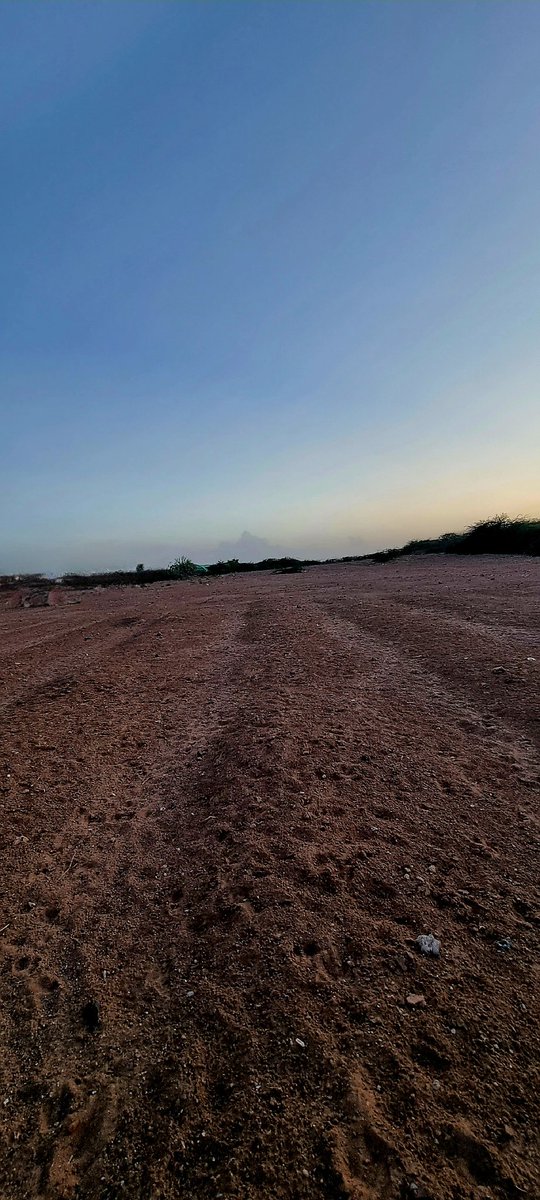 #HerLand 🌳
#Djibouti 3 years ago, the farmers abandoned this land and chose to find a paid job in the city. 
Today, I am taking over! 
New chapter 🌳🇩🇯See you in 12 months! #LandSheroes 
#Greenwall   
 #DesertificationAndDroughtDay