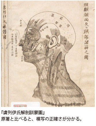 国立国会図書館 NDL على X: 国立国会図書館 NDL على X: