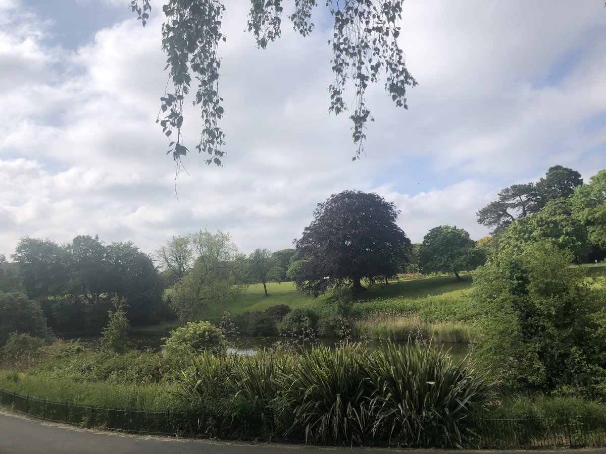 Lovely morning in the @phoenixparkOPW to start the @MarieKeating @100kin30days challenge as part of @WeAreTUDublin Team #PhysOptoCMS #100kin30Days #PinkArmy @Sherry_Fitz @grantedproductions