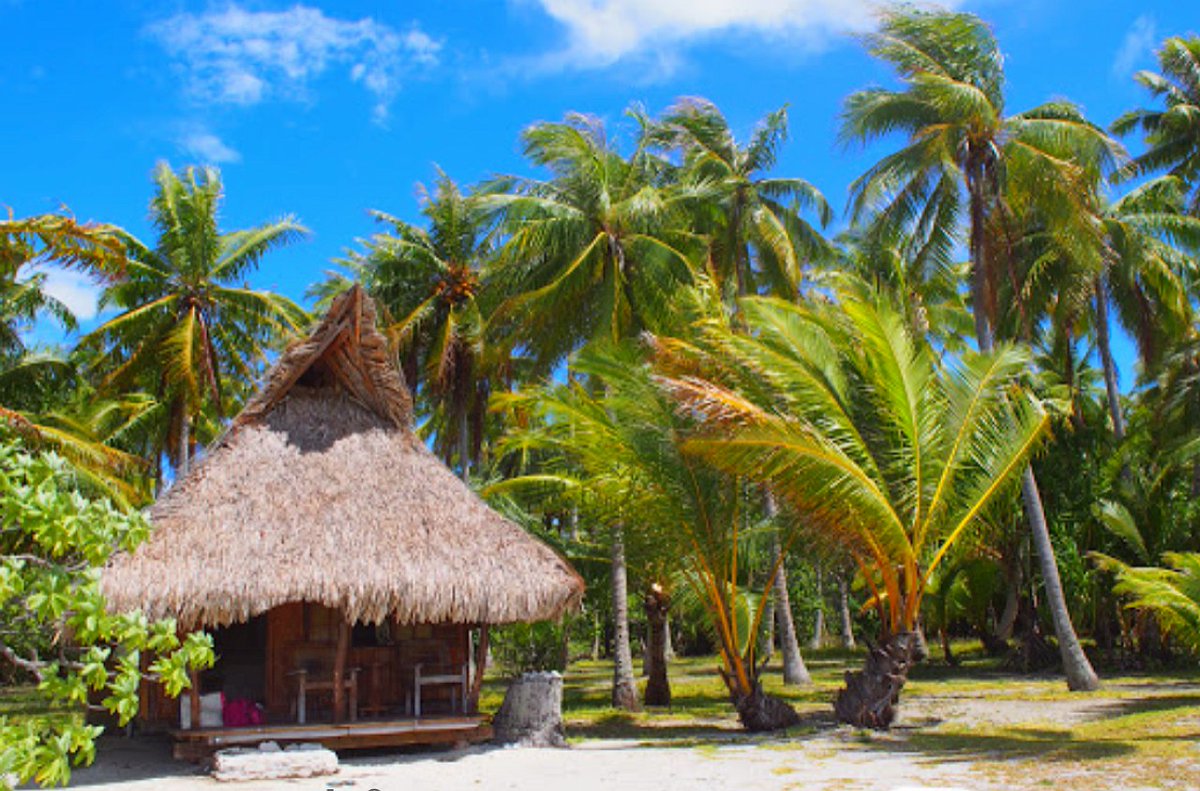 Nice life on a Motu of Atoll Rangiroa😎 #sailing #saltlife #pacific #french #polynesia #Tuamotu Archipelago #Rangiroa #Atoll #photography Blog: sea-nomads.blogspot.com