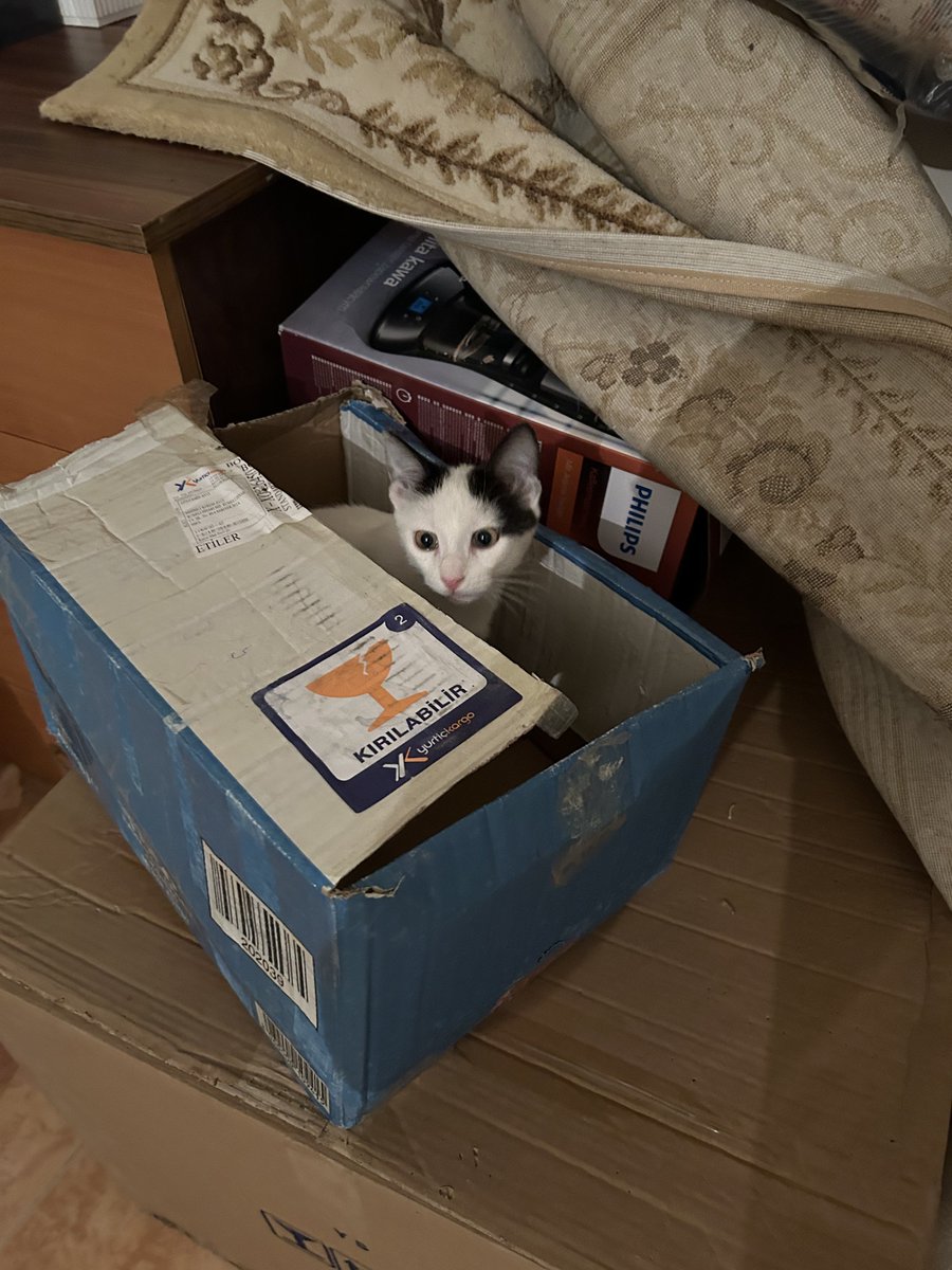 Ablalarım yine her tarafa dağıtmışlar oyuncakları ben kaç kere şu kutuya geri koyun dedim